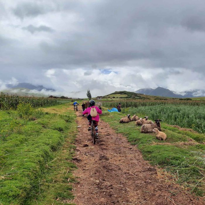 MARAS MORAY BIKE TOUR-2